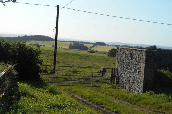 Linton, Blakelaw Farm, View across Fields